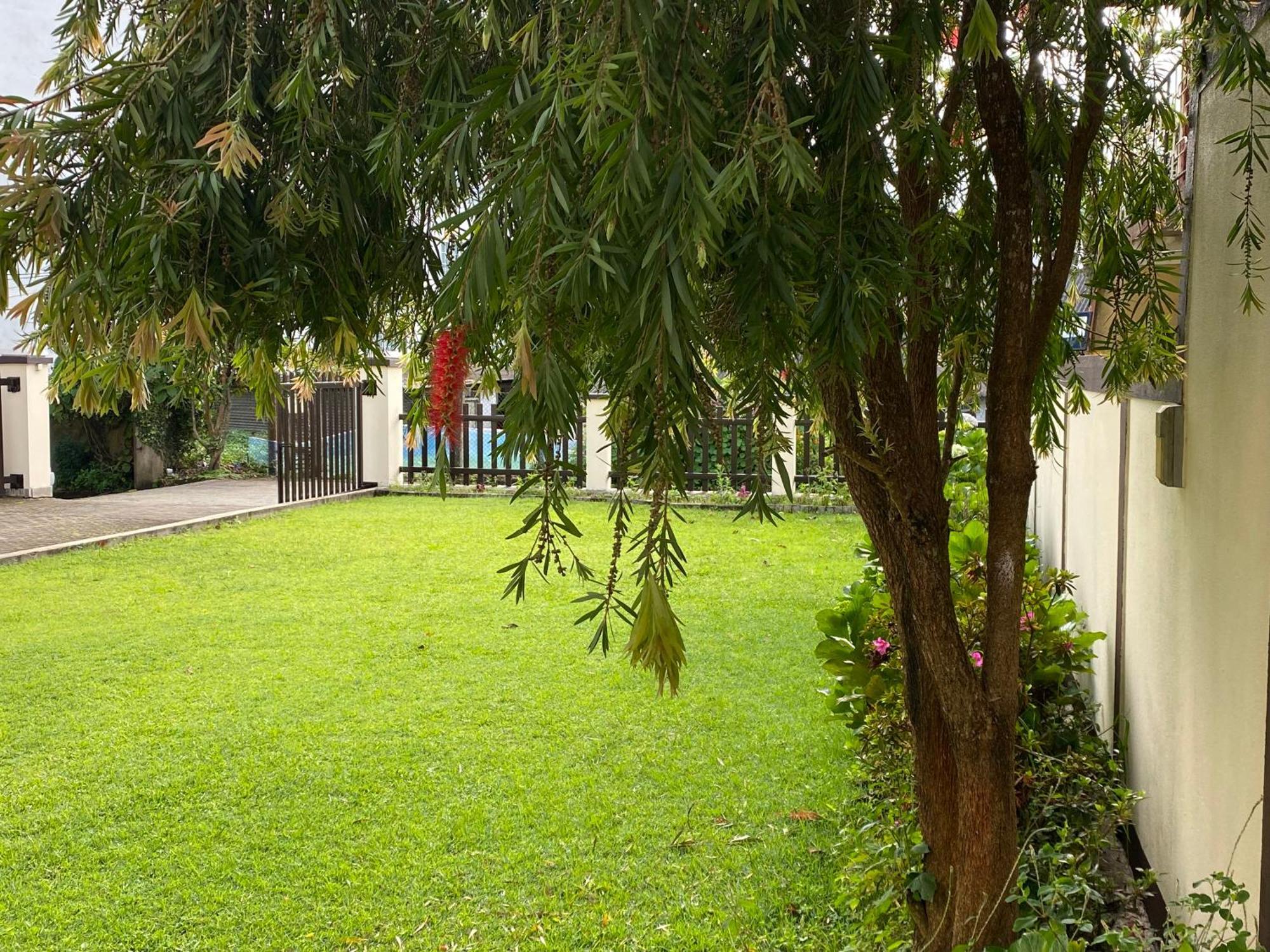 Villa Cassandra Nuwara Eliya Exteriér fotografie